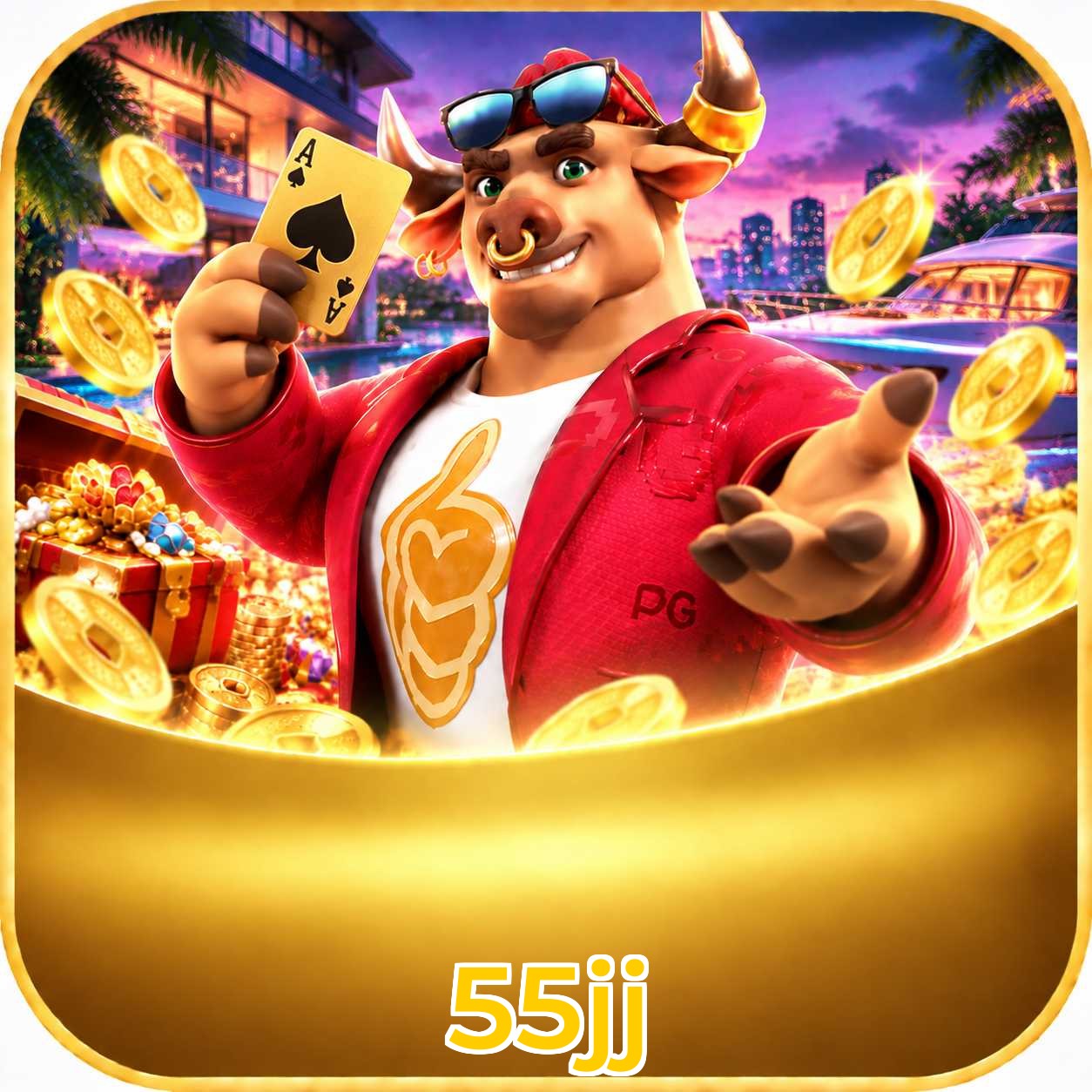 55jj VIP Program